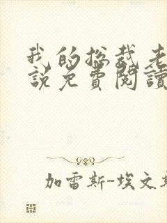 我的总裁老婆小说免费阅读