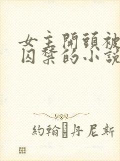 女主开头被锁链囚禁的小说封面