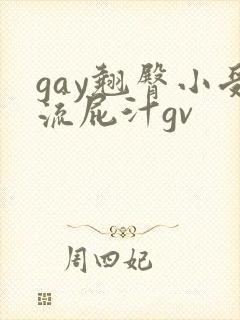 gay翘臀小受流屁汁gv