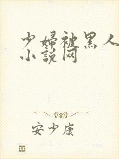 少妇被黑人奸污小说网