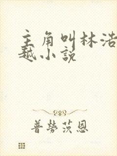 主角叫林浩的穿越小说封面