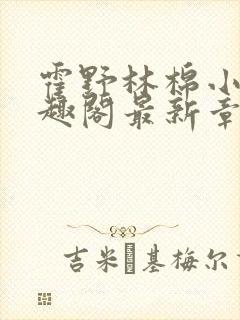 霍野林棉小说笔趣阁最新章节更新