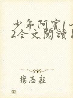 少年阿宾1～72全文阅读目录封面