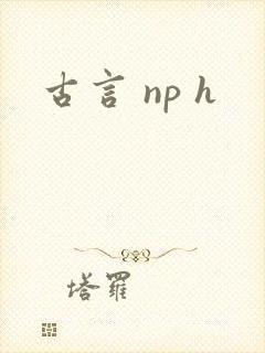 古言 np h