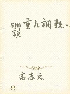 sm重h调教小说