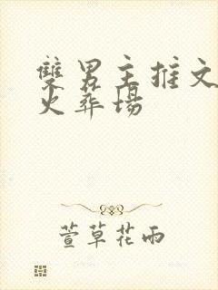 双男主推文追妻火葬场封面