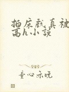 拍床戏真被肉h高h小说