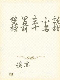 双男主小说排行榜前十名甜文封面