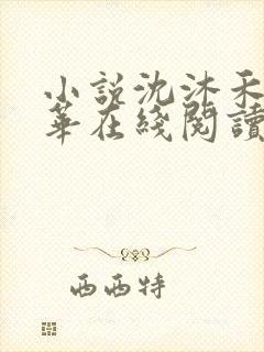 小说沈沐禾林霜华在线阅读