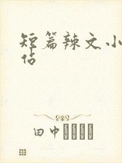 短篇辣文小说网站