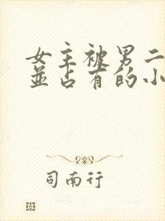 女主被男二欺负并占有的小说