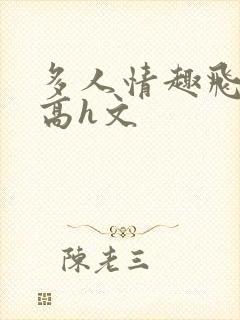 多人情趣飞行棋高h文封面