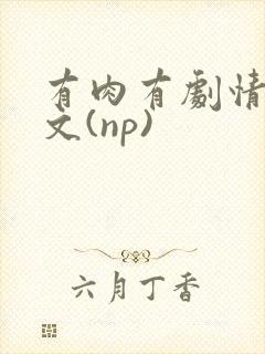 有肉有剧情的h文(np)