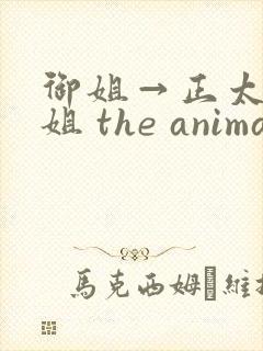 御姐→正太←御姐 the animation封面