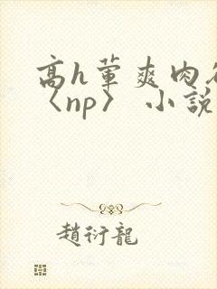 高h荤爽肉欲文〈np〉 小说