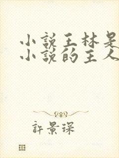 小说王林是哪本小说的主人公