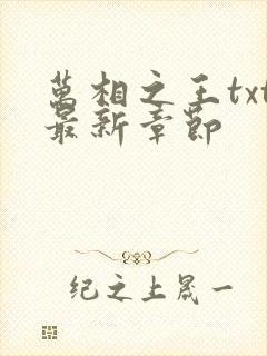 万相之王txt最新章节