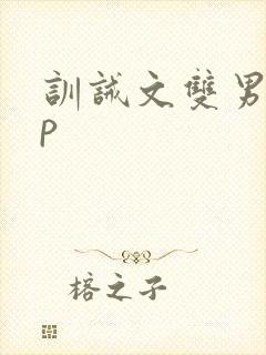 训诫文双男主sp封面