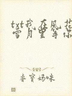 txt我在风花雪月里等你