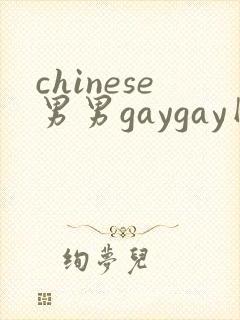 chinese男男gaygay网封面