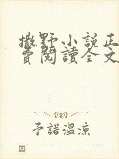 撒野小说正版免费阅读全文无删减