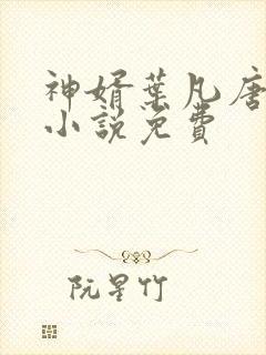 神婿叶凡唐若雪小说免费