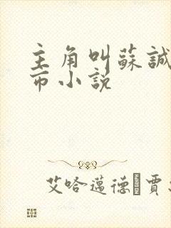 主角叫苏诚的都市小说