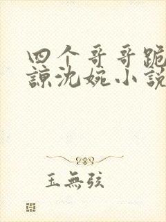 四个哥哥跪求原谅沈婉小说免费阅读封面