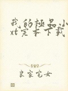 我的极品小姨txt完本下载