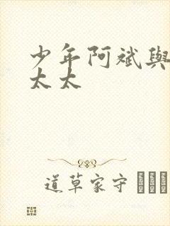 少年阿斌与房东太太