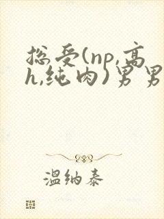 总受(np,高h,纯肉)男男文