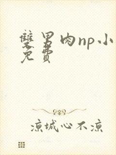 双男肉np小说免费