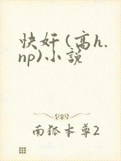 快奸 (高h.np)小说