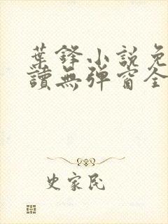 叶锋小说免费阅读无弹窗全文