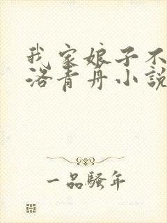 我家娘子不对劲洛青舟小说免费阅读