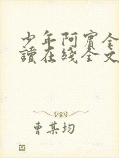 少年阿宾全文阅读在线全文阅读封面