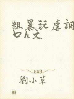 粗暴玩虐调教粗口h文