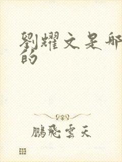 刘耀文是哪一年的