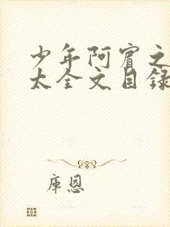 少年阿宾之房东太全文目录