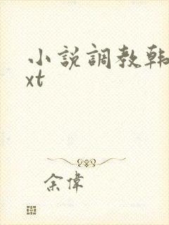 小说调教韩娱txt