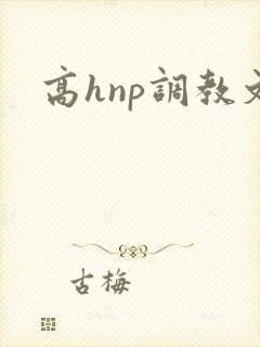 高hnp调教文封面