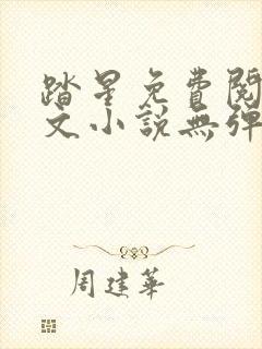 踏星免费阅读全文小说无弹窗