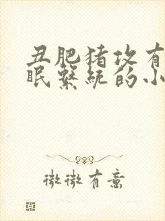 丑肥猪攻有了催眠系统的小说封面