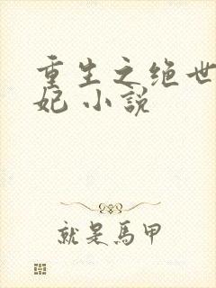 重生之绝世太子妃 小说