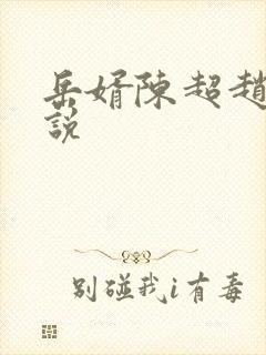 岳婿陈超赵悦小说