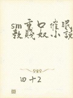 sm重口催眠调教贱奴小说