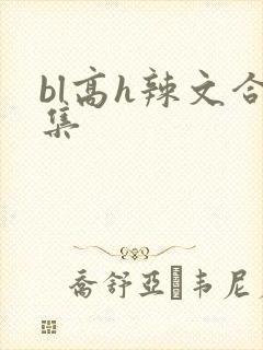 bl高h辣文合集