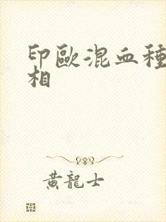 印欧混血种人长相