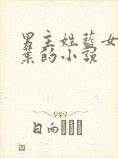 男主姓蓝女主姓叶的小说