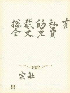 总裁的私有宝贝全文免费